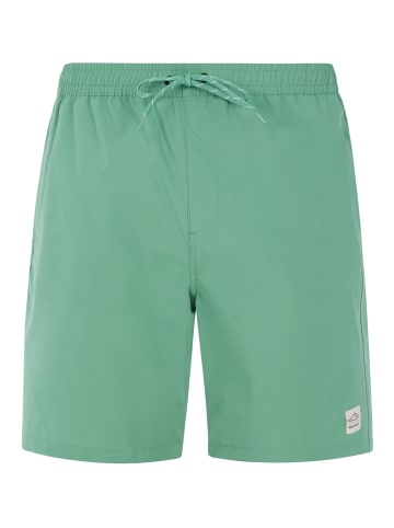 Protest " PRTBAKY in Frosty Green