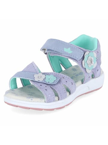 Lico Sandalette in blau