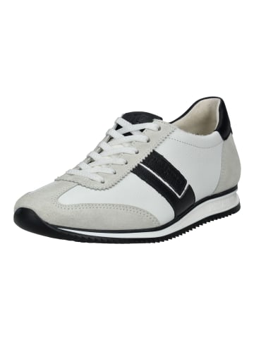 Paul Green Sneaker in Weiß/Schwarz