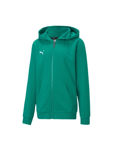 Puma Sweatshirt teamGOAL 23 Casuals Hooded Jacket Jr  in grün