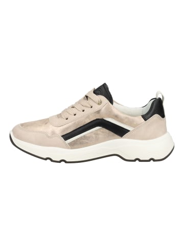 ara Sneaker Beige/Schwarz