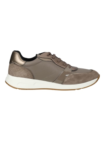 Geox Sneaker in Taupe