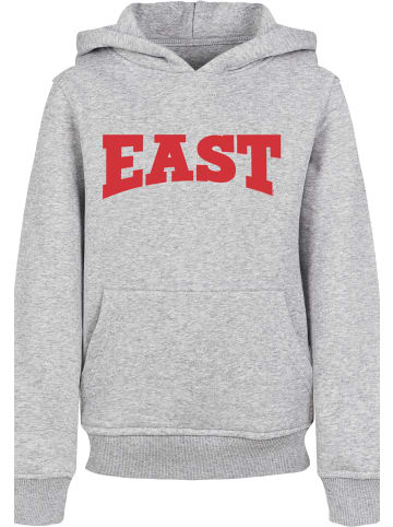 F4NT4STIC Hoodie in heather grey