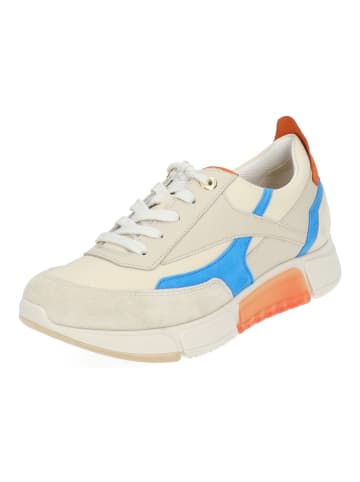 Paul Green Sneaker in Beige/Blau