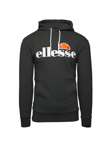 ellesse Kapuzenpullover Small Logo Gottero OH in grau