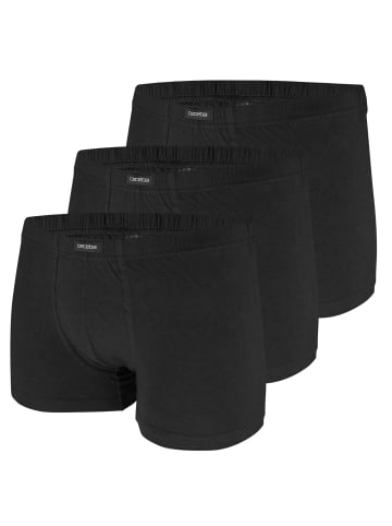 CECEBA Pants 3er Pack in Schwarz