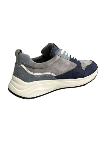Sioux Sneaker Low in Blau