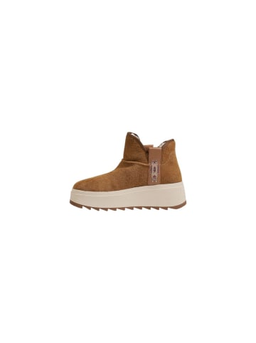 Ash Camel Damen Stiefel