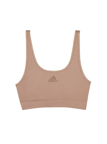 adidas Bustier in braun