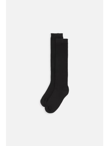 Coccodrillo Socken in schwarz