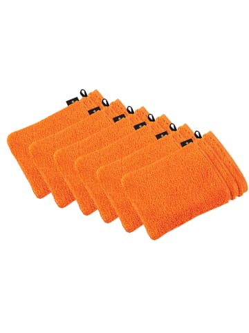 Vossen 6er Pack Waschhandschuh in orange