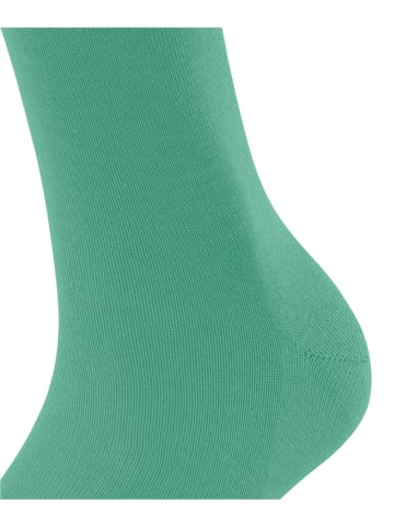 Falke Socken Family in Oceangreen