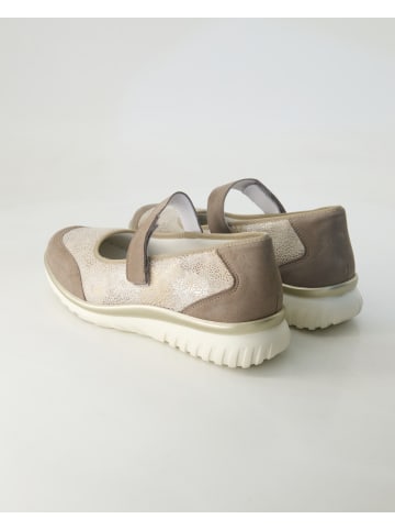 Semler Ballerinas in Beige
