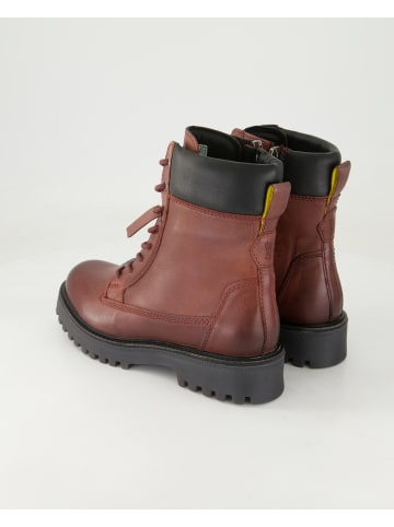 SALAMANDER Klassische Stiefeletten in Bordeaux