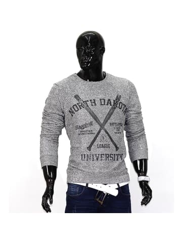 Sublevel Sweatshirt College ID653 in Hellgrau