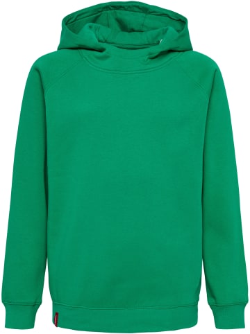 Hummel Hummel Hoodie Hmlred Multisport Unisex Kinder in JELLY BEAN