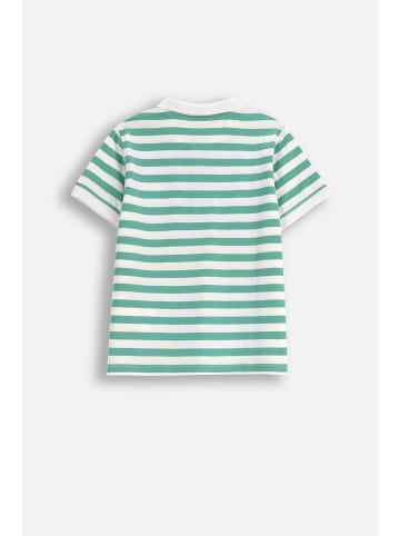 Coccodrillo T-Shirt mit kurzem Ärmel in grün