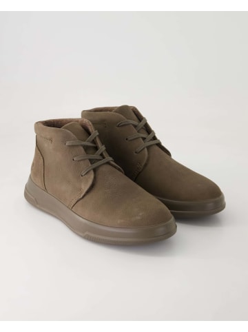 Ecco Sneaker high in Braun