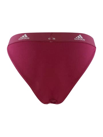 adidas Tanga Realasting Cotton in Bordeaux