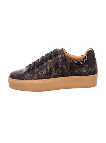 Camerlengo Schnürschuhe in Animal