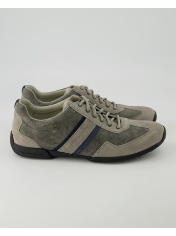 Pius Gabor Sneaker low in Grau