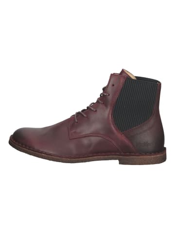 Kickers Stiefelette in Bordeaux