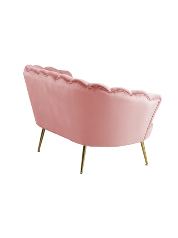 SalesFever Muschelsofa 2-Sitzer elegant Beine Chrom goldfarben und Samtbezug in Rose