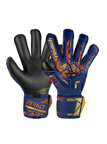 Reusch Torwarthandschuh Attrakt Gold X Evolution in 4411 premium blue/gold/black