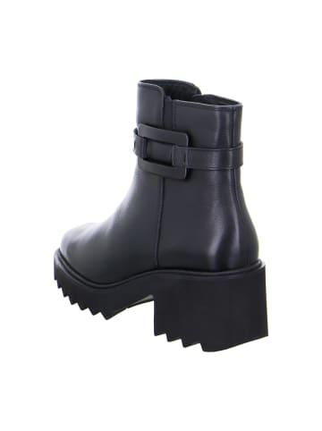ara Komfort Stiefeletten in Schwarz
