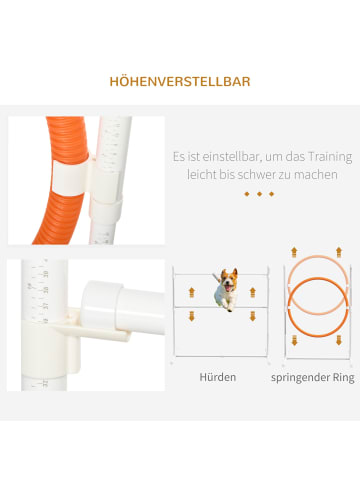 Pawhut Hunde Agility Set Blau Kunststoff+ Oxford