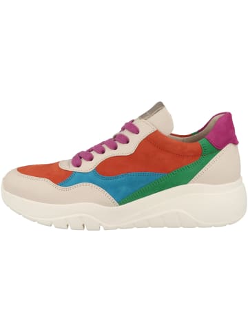 Gabor Sneaker low 63.451 in multicolor