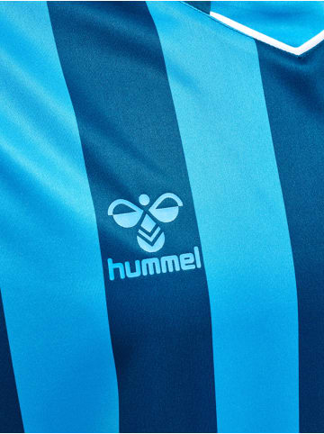 Hummel Hummel T-Shirt Hmlcore Multisport Herren Atmungsaktiv Feuchtigkeitsabsorbierenden in BLUE CORAL/BLUE DANUBE