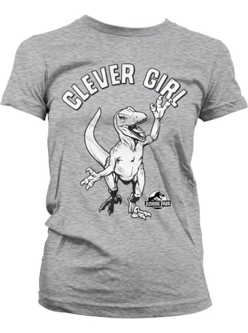 Jurassic Park Shirt in Grau