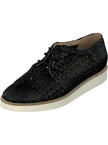 Allan K Sneaker für Damen in dunkel-blau