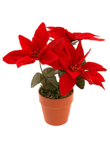 Künstlicher Weihnachtsstern in Rot, 22 cm
