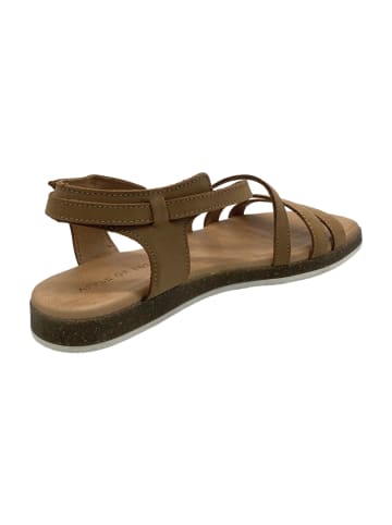 Apple of Eden Riemchensandaletten in Braun