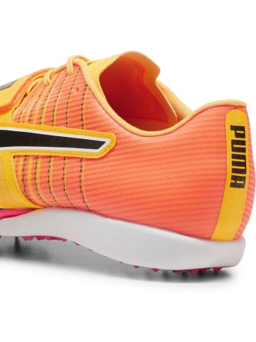 Puma Laufschuh "evoSPEED Long Jump Nitro 2" in Orange