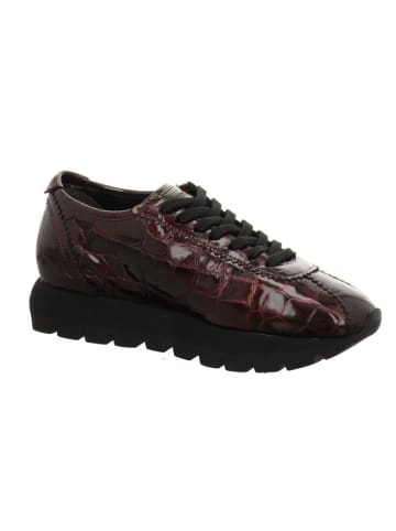 Kennel & Schmenger Sneaker Low in rot