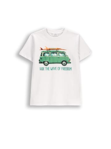 Coccodrillo Baumwoll-T-Shirt mit kurzen Ärmeln in weiß