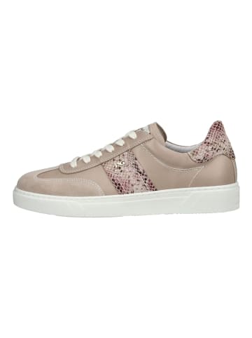 Nero Giardini Sneaker in Beige