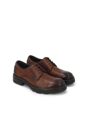 Kazar Schnürschuhe in Braun