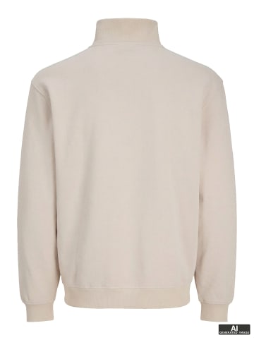 Jack & Jones Sweatshirt mit halbem Reißverschluss in Moonbeam