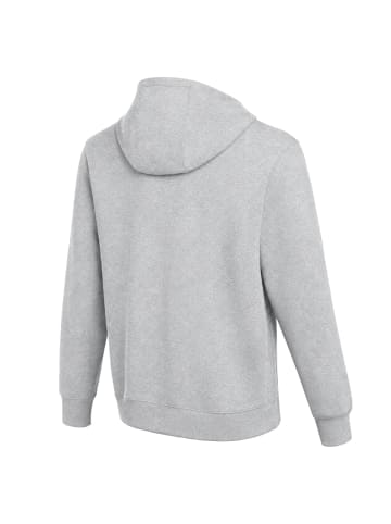 Nike Sweatshirt in Hellgrau