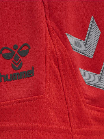 Hummel Hummel Kurze Hose Hmllead Fußball Kinder Schnelltrocknend in TRUE RED