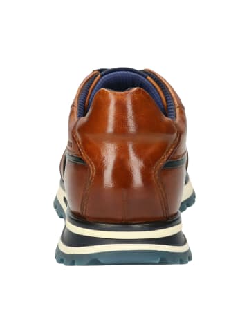 Bugatti Sneaker in braun