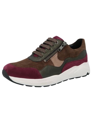 Solidus Sneaker Low in rot