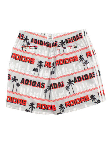 adidas Shorts Nigo La Palm in Grau
