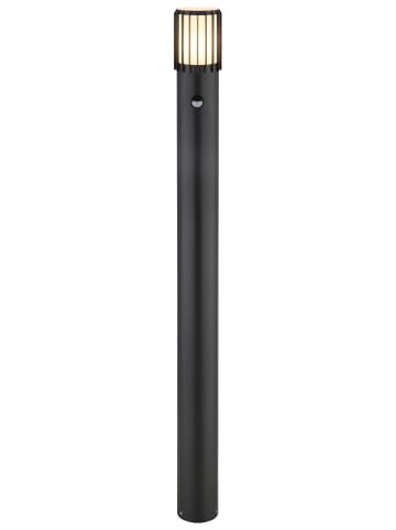 Globo lighting Außenleuchte "MERVIN" in anthracite