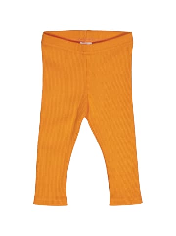 Fred´s World by GREEN COTTON Babyleggings in Tangerine