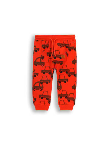 Coccodrillo Jogginghose in rot